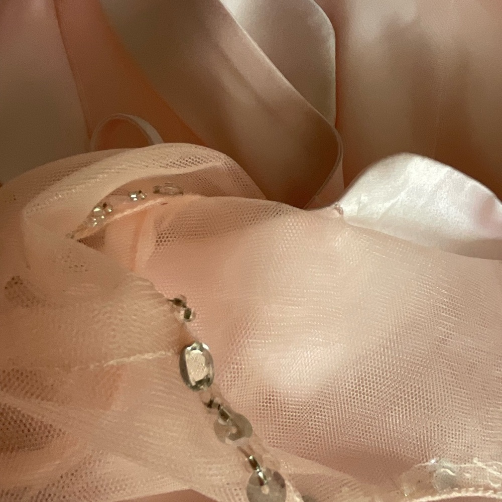 Pink Ruffled Gown with Flutter Sleeves - Picture 10 of 15